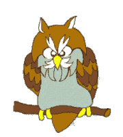 ブレッド画像
